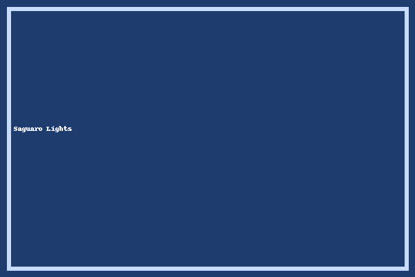 Saguaro with holiday lights